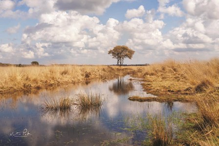 Dutch Skies by Martin Podt art print