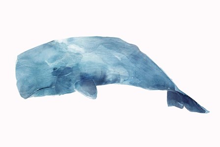 Whale by Isabelle Z art print