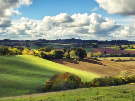 Pastoral Countryside III by Colby Chester art print