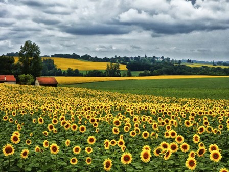 Pastoral Countryside IV by Colby Chester art print