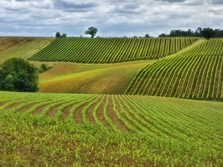 Pastoral Countryside VI by Colby Chester art print