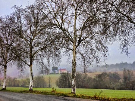 Pastoral Countryside XI by Colby Chester art print