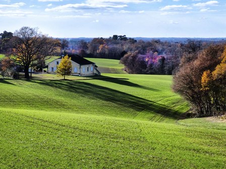 Pastoral Countryside XV by Colby Chester art print