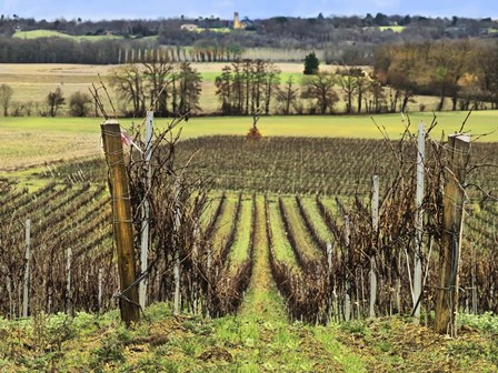 Pastoral Countryside XVI by Colby Chester art print