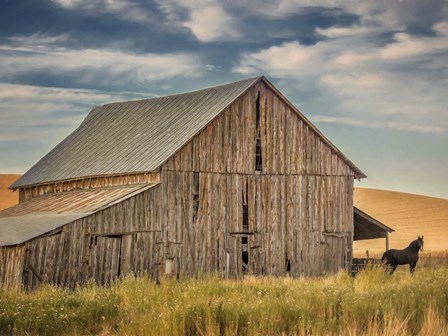 Farm &amp; Field VI by PHBurchett art print