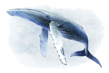 Watercolor Humpback II by Grace Popp art print