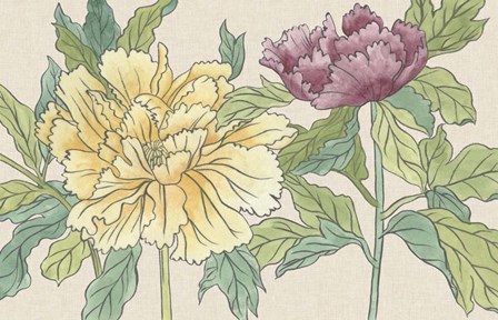 Peony Blooms II by Melissa Wang art print