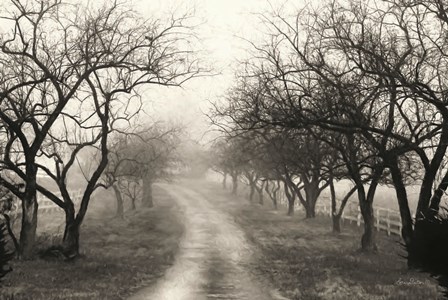 Foggy Lane by Lori Deiter art print