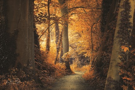 Path to the Light by Martin Podt art print