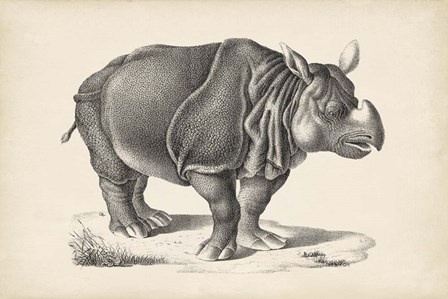 Rhinoceros by Karl Brodtmann art print