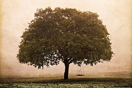 The Hopeful Oak by Debra Van Swearingen art print