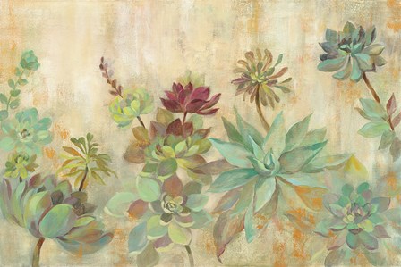 Succulent Garden by Silvia Vassileva art print