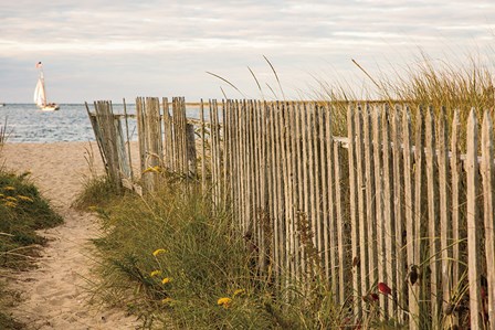 Along the Fence II by Aledanda art print