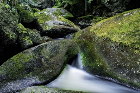 Green Rock River by Duncan art print