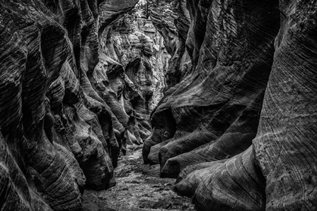 Slot Canyon Utah 3 by Duncan art print