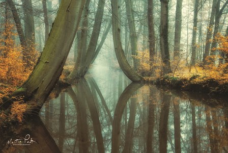 Lust for Life by Martin Podt art print