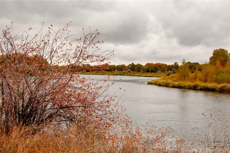 Snake River Autumn II by Ramona Murdock art print