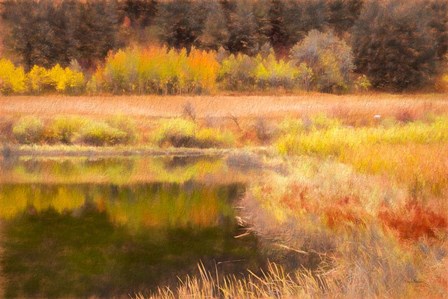 Autumn Pond by Ramona Murdock art print