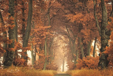 Follow Your Own Way by Martin Podt art print