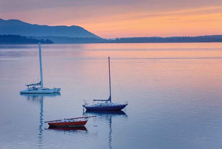 Bellingham Bay by Alan Majchrowicz art print