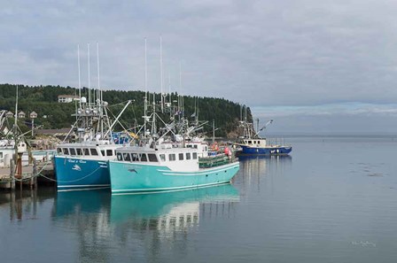 Bay of Fundy I by Alan Majchrowicz art print