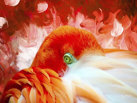 Red Flamigo by Ata Alishahi art print