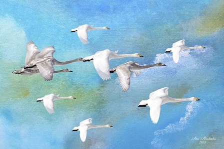 Fly Far Away 2 by Ata Alishahi art print