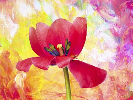 Poppy Beauty by Ata Alishahi art print