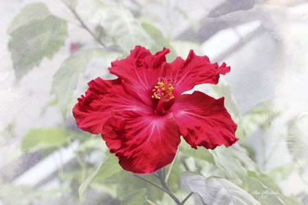 Red Is Beautiful by Ata Alishahi art print