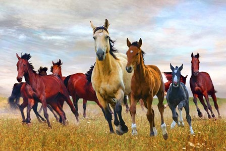 Wild Horses In Nature by Ata Alishahi art print
