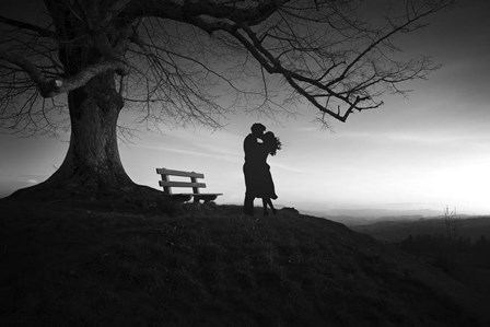 Black And White Love by Ata Alishahi art print