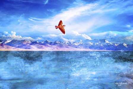 Colors And Nature As1 by Ata Alishahi art print