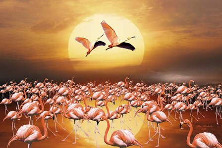 Flamingo Land 2D by Ata Alishahi art print