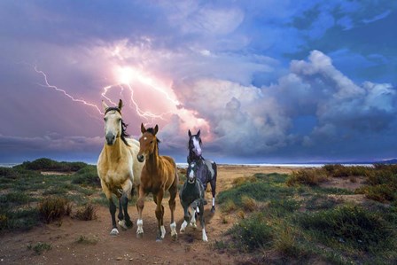 Wild Horses Of The Sea by Ata Alishahi art print