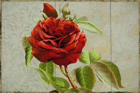 Red Rose Painted on Wooden Panel by Cora Niele art print